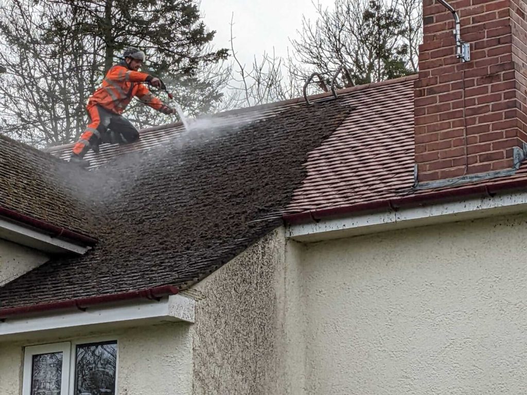 Roof Cleaning 